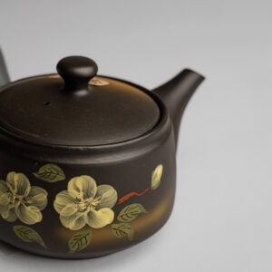 Kyusu - Tokoname
